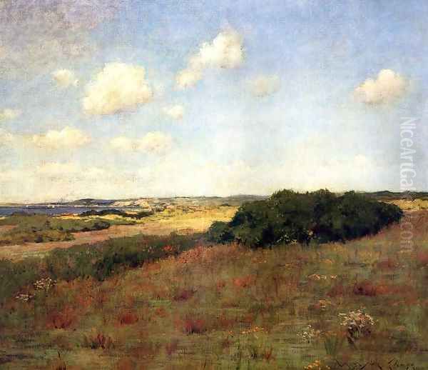 Sunlight and Shadow, Shinnecock Hills, c.1895 - view 1