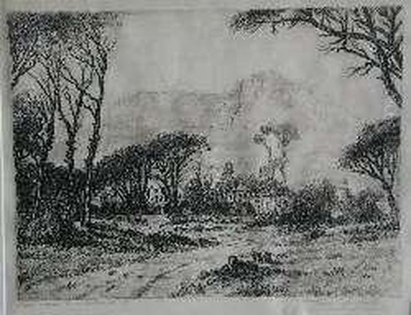 Pine Trees, Rondebosch - view 1