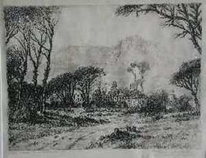 Pine Trees, Rondebosch