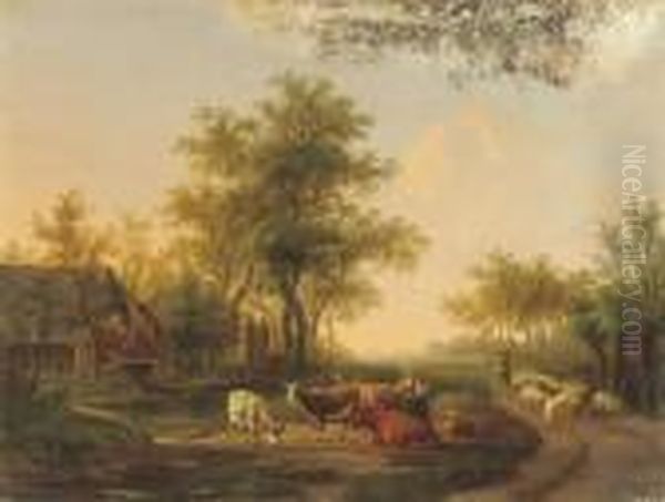 Cattle Near A Stream At Sunset - view 1