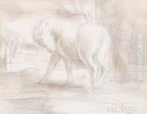 Le Cheval by Amedee de La Patelliere