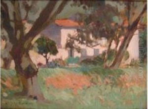 Les Maisons Au Toit Rose