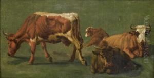 Etude De Vaches