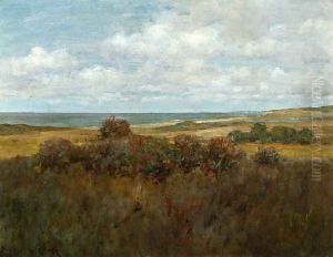Shinnecock Landscape IV