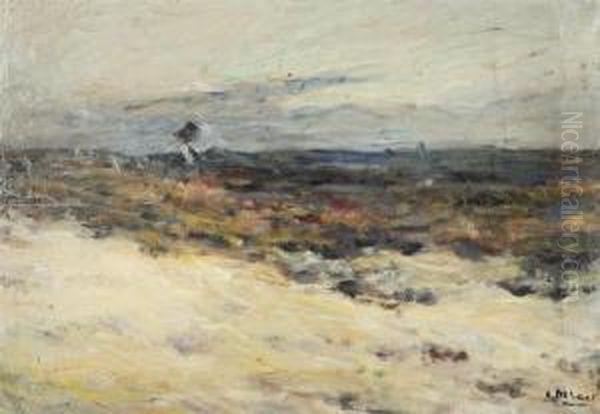 Moorland - view 1