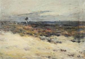 Moorland by Alois De Laet