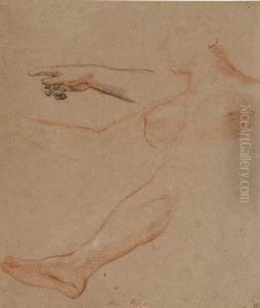 Etude De Femme En Buste, Etudes D'une Main Et D'une Jambe - view 1
