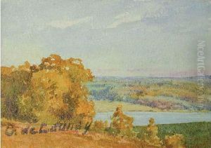 Bras De Riviere Borde D'arbres