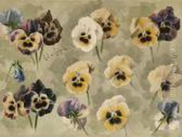 Pansies Study - view 1