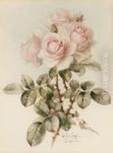 Pink Roses by Paul De Longpre