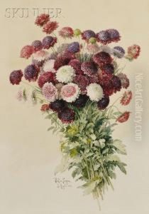 Bouquet Of Chrysanthemums by Paul De Longpre