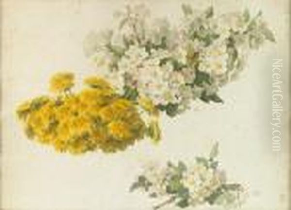 Study Of Apple Blossoms And Dandelions - view 1