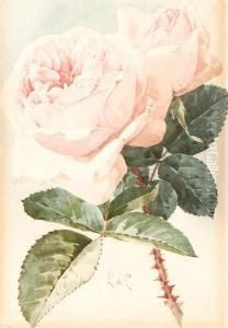 Pink Roses by Paul De Longpre