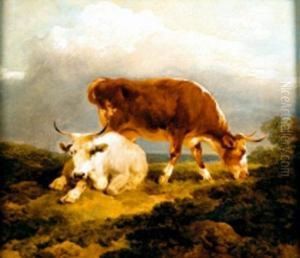 Vaches Au Pre Vaches Au Pre