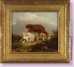 Vaches Au Pre Vaches Au Pre