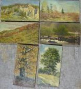 Paysage De Montagne