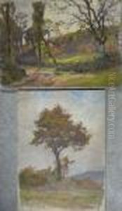 Automne Automne