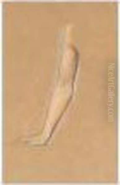 Study Of An Arm From 'queen Eleanor And Fair Rosamund' - view 1