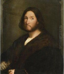 Portrait Of A Gentleman by Palma Vecchio (Jacopo Negretti)