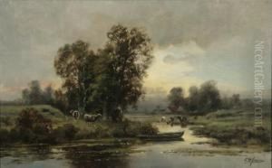 Cows Watering