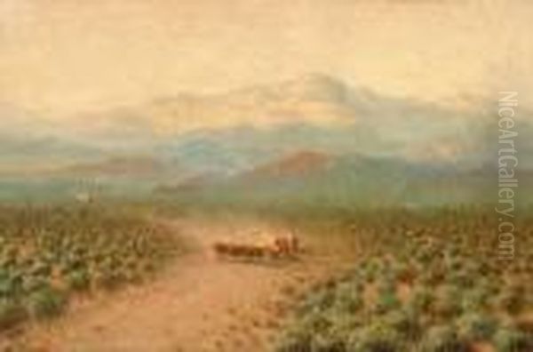 Wagon Train In Western - view 1