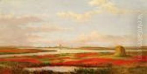 Marshes In Bloom