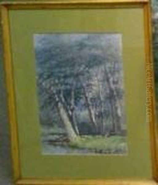 Tree Along A Woodland Stream - view 1