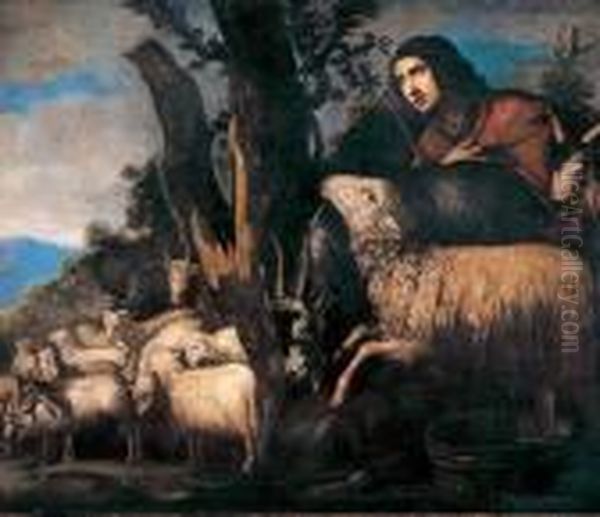 Pastore Con Gregge - view 1