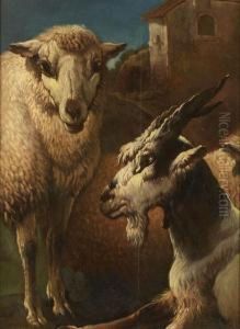 Un Mouton Et Une Chevre