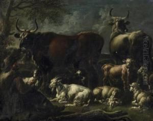 Shepherd With Goats, Sheep And Bullocks
