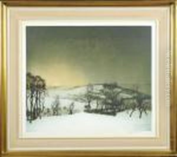 Paysage Enneige - view 1