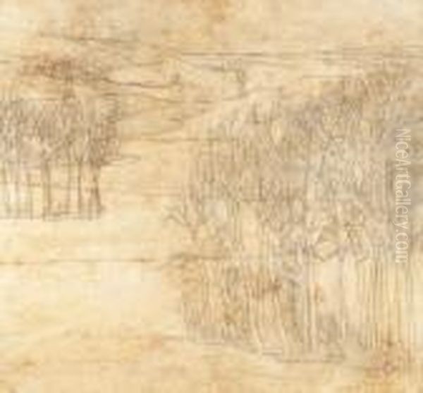 Landschap - view 1