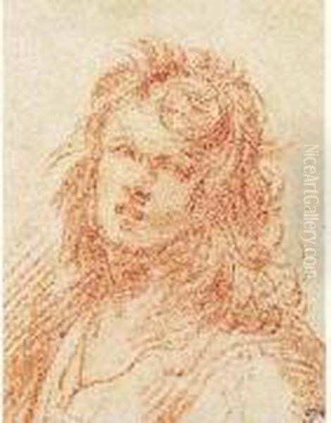 Buste De Jeune Homme - view 1