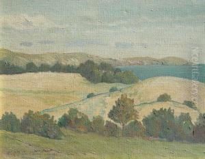 Vista De Punta Ballena