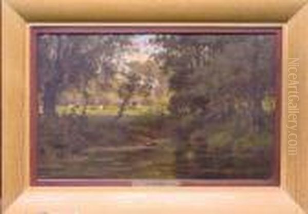 In The Clearing - view 1