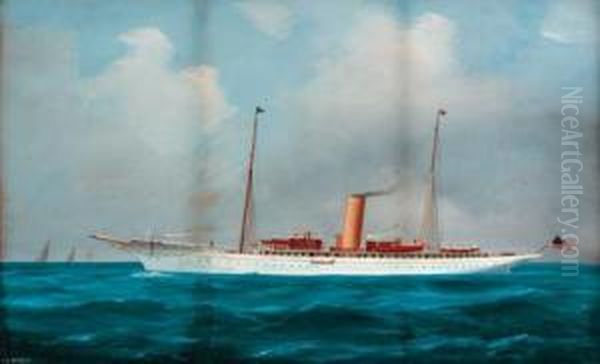 The American Steam Yacht Warrior - view 1