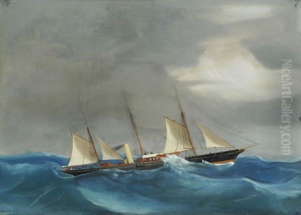 Ritrattodello Steam Yacht - view 1