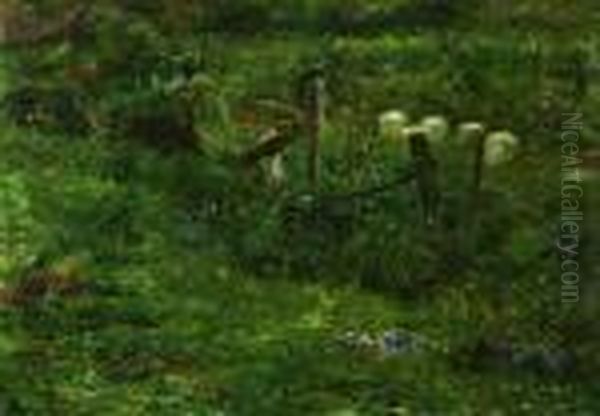 Paisagem - view 1