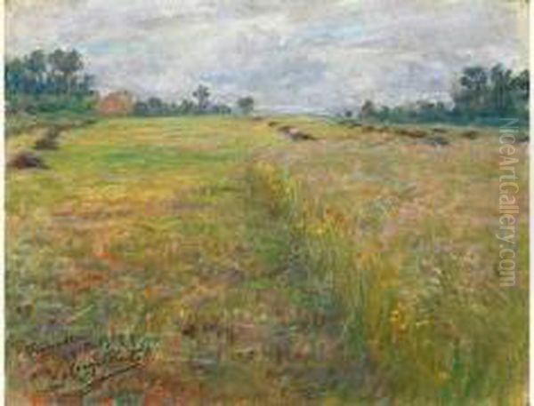 Paysage - view 1