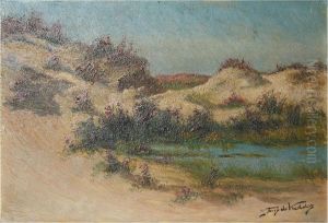 Moorview by Franz De Vadder