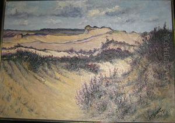 Gezicht Op De Duinen.
 Vue Sur Les Dunes - view 1