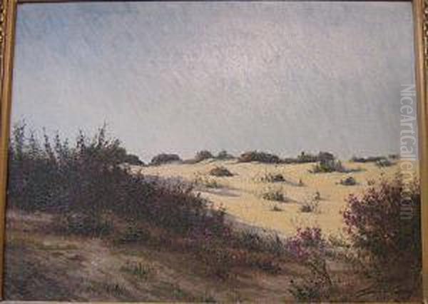 Heidegezicht. - view 1