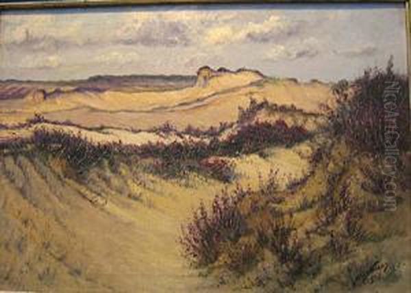 Heidelandschap. - view 1