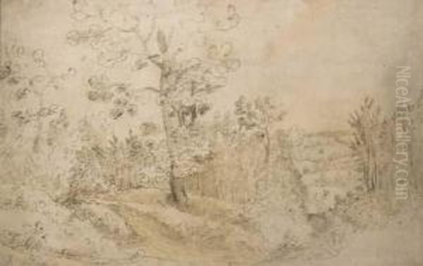 A Wooded Landscape - view 1