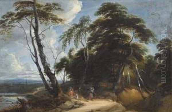 Forest Landscape With Tall Birches. - view 1