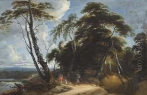 Forest Landscape With Tall Birches.