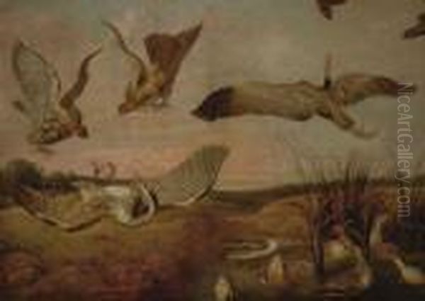 Rina De Aves En Laorilla Del Rio - view 1