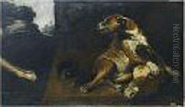 Perros Peleando Con Una Cabeza Devaca - view 1