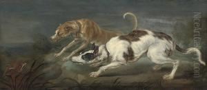 Two Hounds