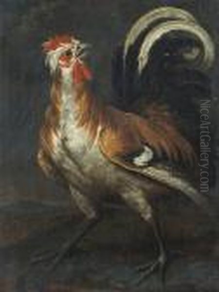 A Rooster In A Landscape - view 1
